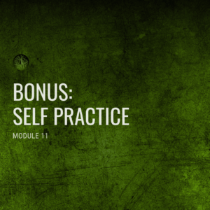 BONUS – Module 11: Self practice