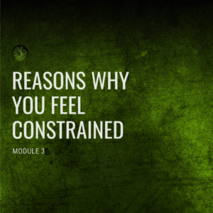 Module 3: Reasons Why You Are Constrained