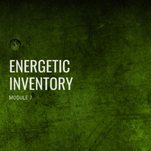 Module 7: Energetic Inventory