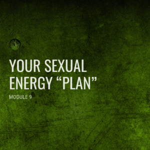 Module 9: Your Sexual Energy “plan”